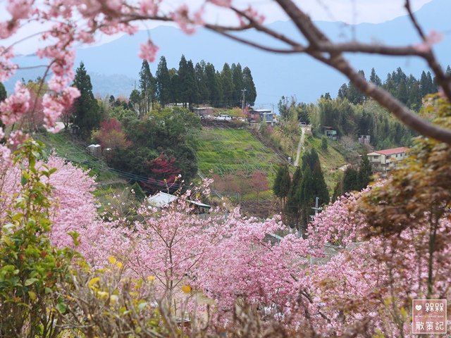 拉拉山恩愛農場