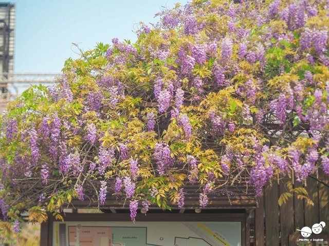 台北花卉村