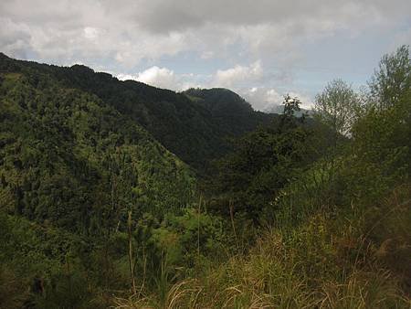 南投竹山杉林溪-爬山初體驗-【水漾森林+鹿屈山】_10.JPG