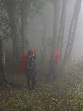 南投竹山杉林溪-爬山初體驗-【水漾森林+鹿屈山】_25.JPG