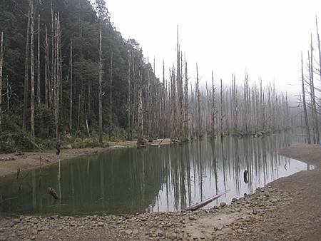 南投竹山杉林溪-爬山初體驗-【水漾森林+鹿屈山】_52.JPG