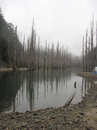 南投竹山杉林溪-爬山初體驗-【水漾森林+鹿屈山】_53.JPG