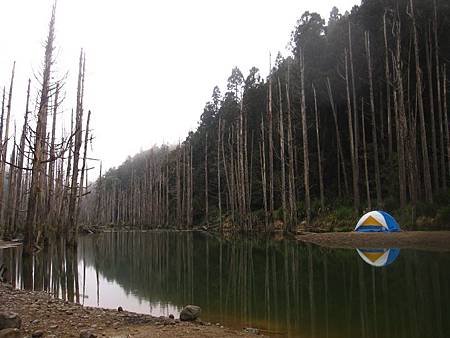 南投竹山杉林溪-爬山初體驗-【水漾森林+鹿屈山】_55.JPG