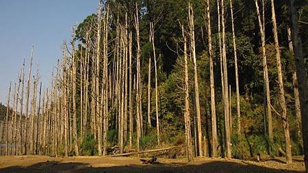 南投竹山杉林溪-爬山初體驗-【水漾森林+鹿屈山】_75.JPG