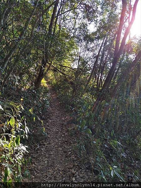 台灣/台中2019.2.8 大年初四爬山去,二刷谷關七雄