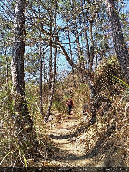 台灣/台中2019.2.8 大年初四爬山去,二刷谷關七雄