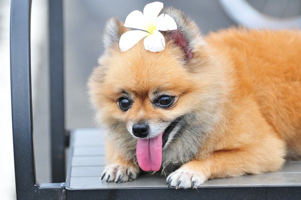 DSC_4627.jpg