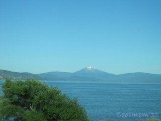 IMG_3684r.jpg