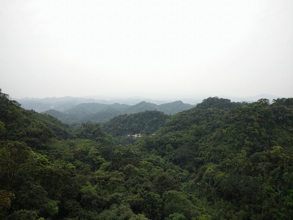 140.jpg