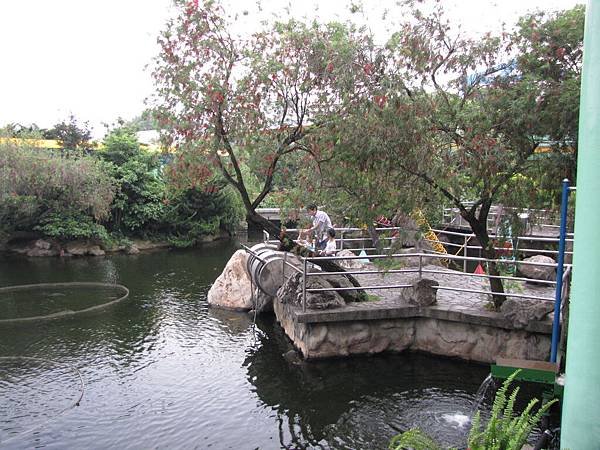 IMG_1197.JPG