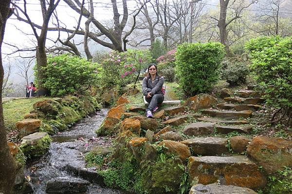 20170301陽明山 IMG_0237.JPG