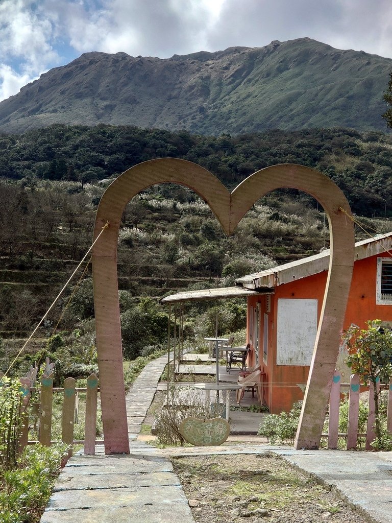 【陽明山】視野佳景色美的後山產業道路(主線)