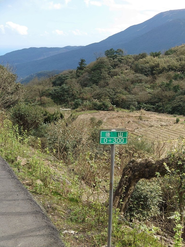 【陽明山】視野佳景色美的後山產業道路(主線)