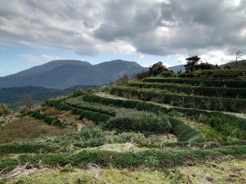 【陽明山】視野佳景色美的後山產業道路(主線)