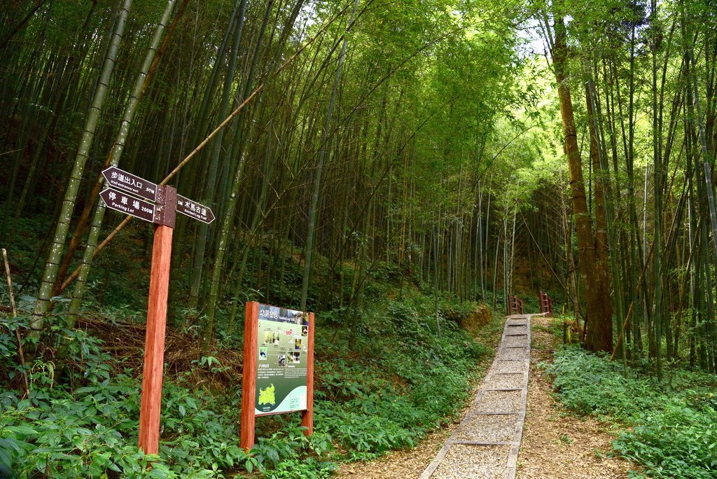 犁寮園區-五元二角休憩綠廊 (10).JPG - 草嶺石壁風景區