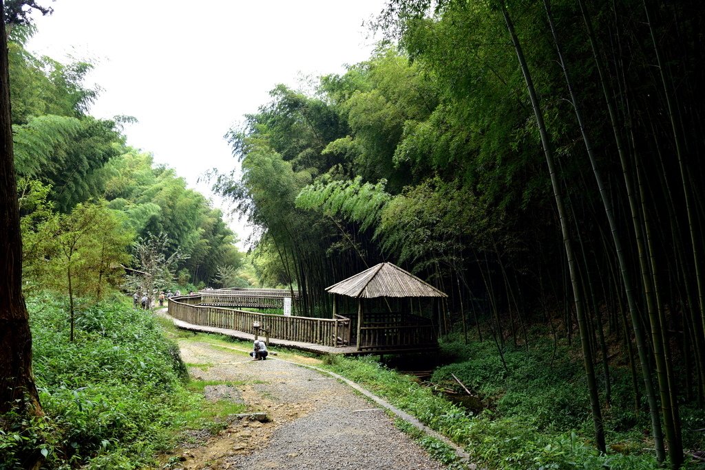 犁寮園區-五元二角休憩綠廊 (12).JPG - 草嶺石壁風景區