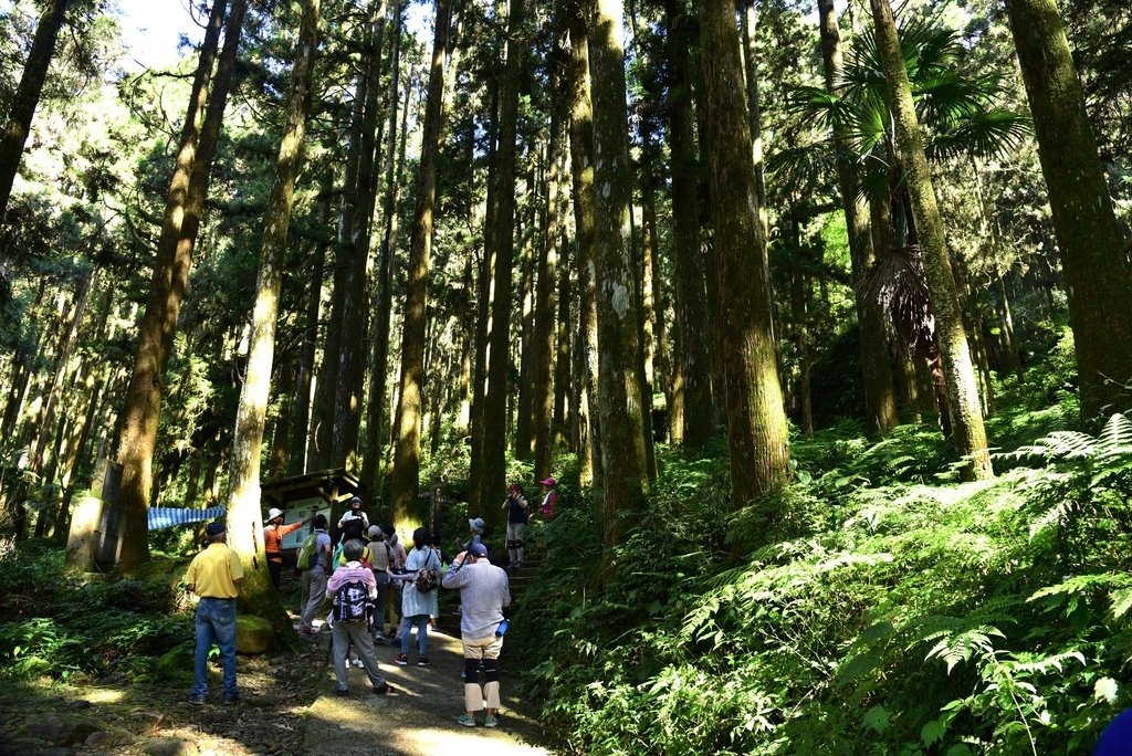 頂湖步道 (8).JPG - 梅園樓觀景飯店,頂湖步道,旺萊山愛情大草原