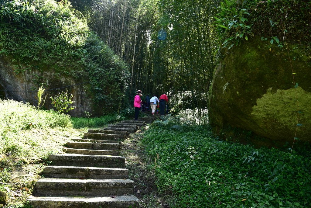 頂湖步道 (11).JPG - 梅園樓觀景飯店,頂湖步道,旺萊山愛情大草原