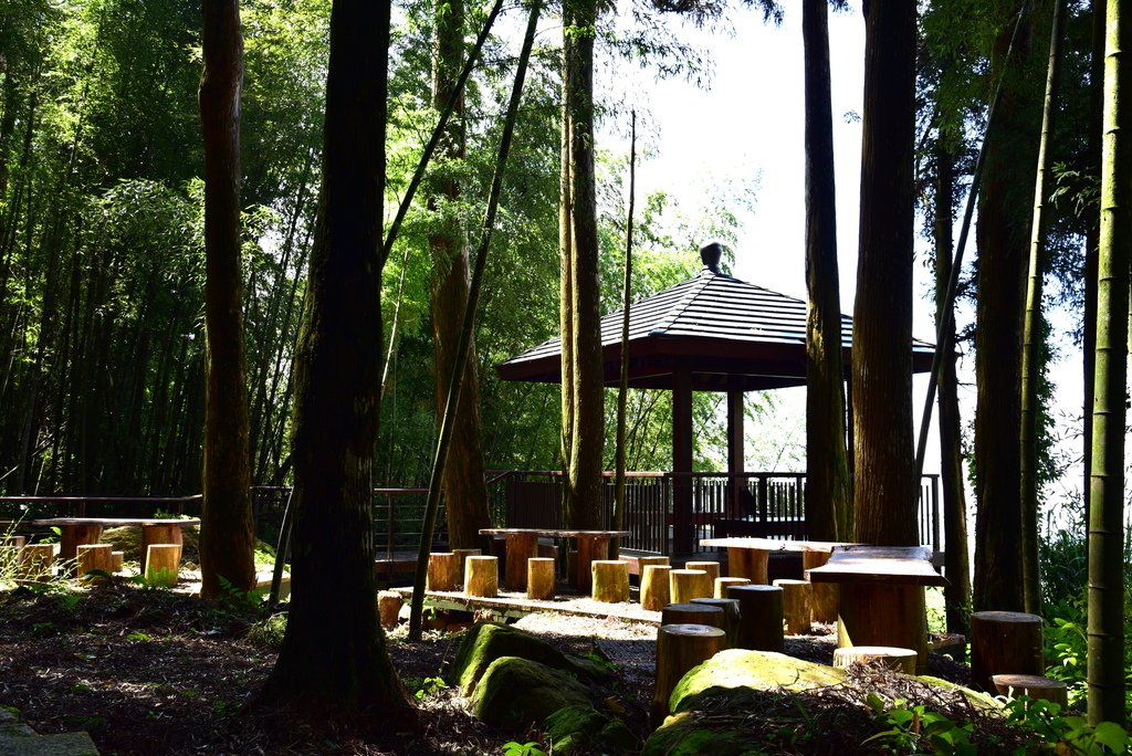 頂湖步道 (16).JPG - 梅園樓觀景飯店,頂湖步道,旺萊山愛情大草原