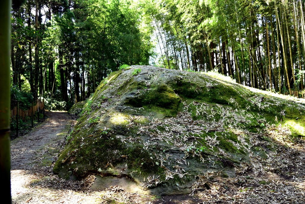 頂湖步道 (21).JPG - 梅園樓觀景飯店,頂湖步道,旺萊山愛情大草原