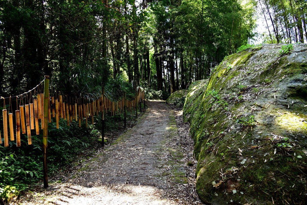 頂湖步道 (22).JPG - 梅園樓觀景飯店,頂湖步道,旺萊山愛情大草原