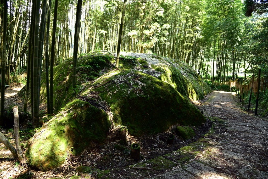 頂湖步道 (23).JPG - 梅園樓觀景飯店,頂湖步道,旺萊山愛情大草原