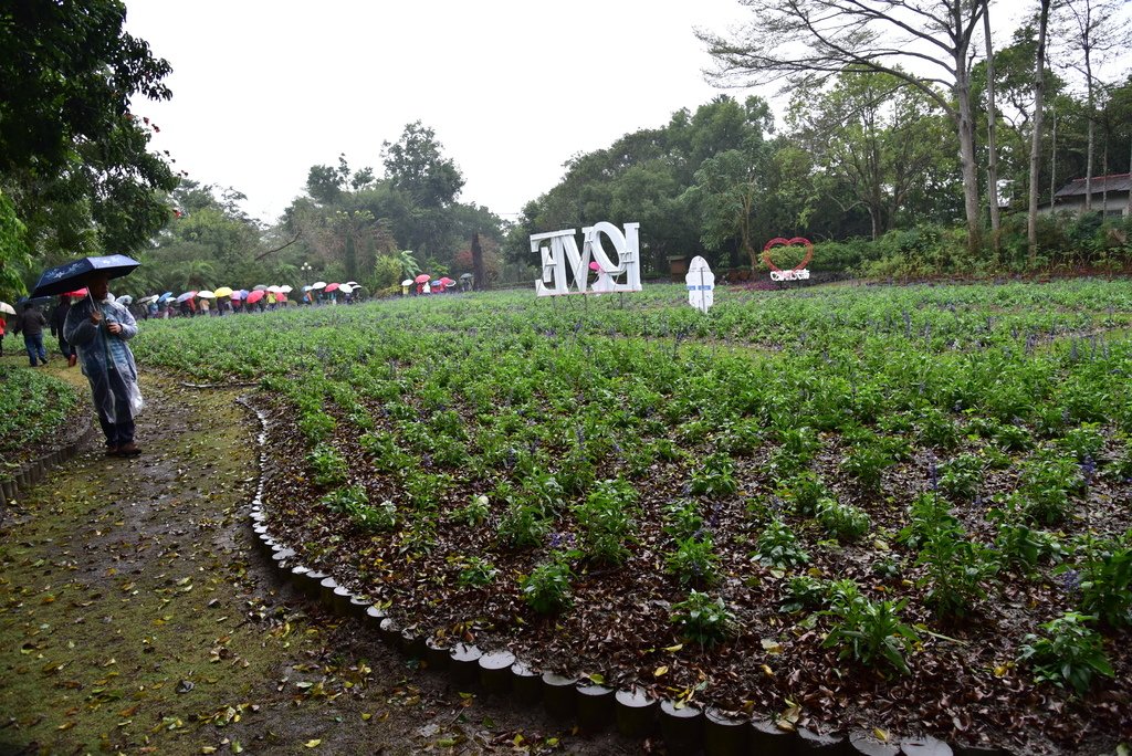 南元花園休閒農場 (23).JPG - 南元花園休閒農場 