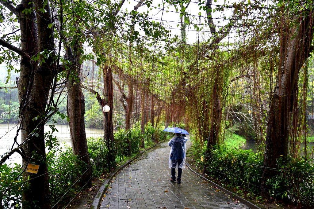 南元花園休閒農場 (27).JPG - 南元花園休閒農場 