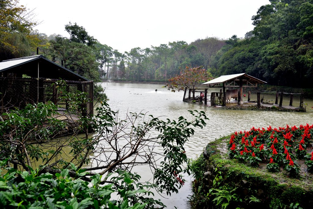 南元花園休閒農場 (33).jpg - 南元花園休閒農場 