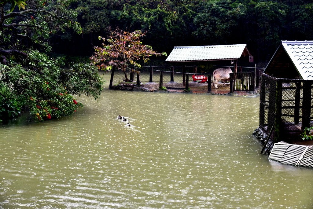 南元花園休閒農場 (35).JPG - 南元花園休閒農場 