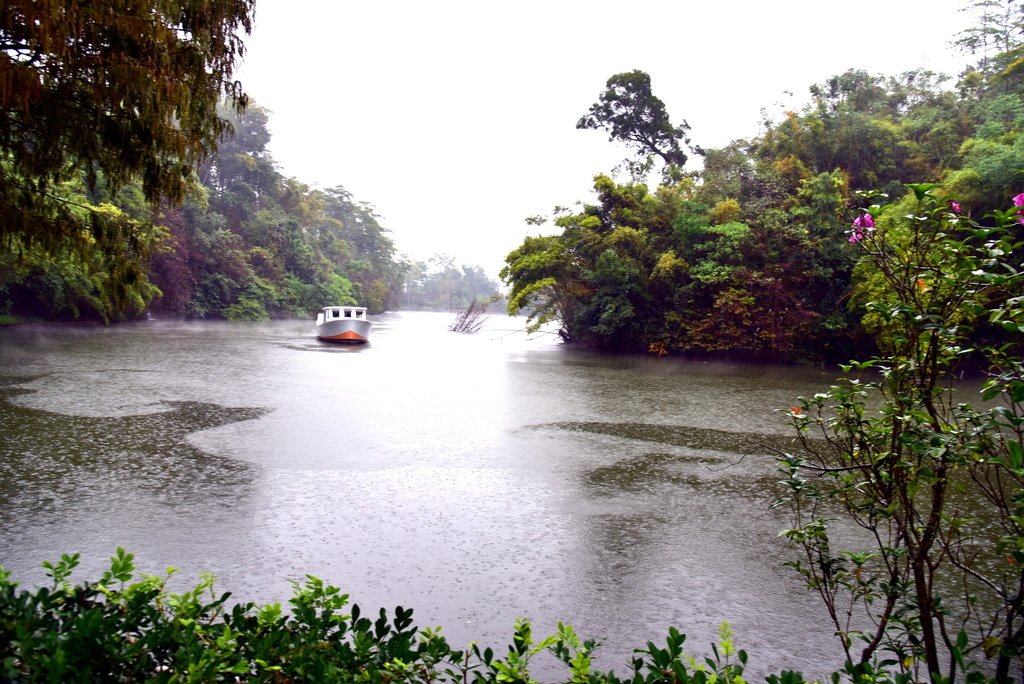 南元花園休閒農場 (41).JPG - 南元花園休閒農場 