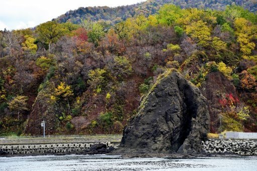 北海道(道東) 5日遊Day3:搭船出海眺望世界自然遺產-知