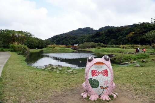 【桃園市大溪區】超美落羽松秘境-月眉人工濕地生態公園 (大溪