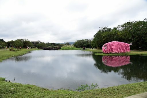 【桃園市大溪區】超美落羽松秘境-月眉人工濕地生態公園 (大溪