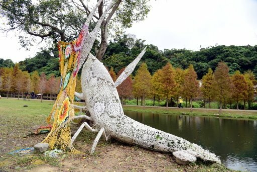 【桃園市大溪區】超美落羽松秘境-月眉人工濕地生態公園 (大溪