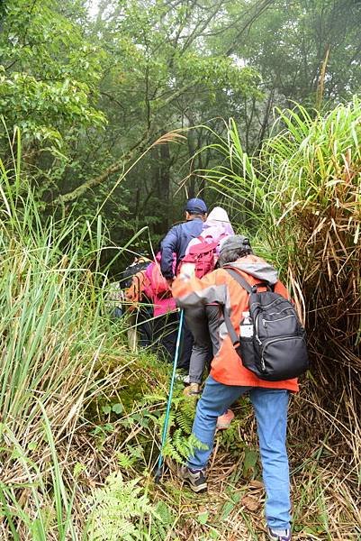 【宜蘭大同】南山部落迷霧森林-羅葉尾溪泰雅族傳統獵徑探險趣(