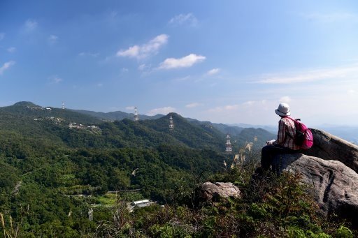 大崙尾山,金面山(剪刀石山),新坡尾山,碧湖山登山行