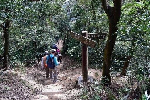 大崙尾山,金面山(剪刀石山),新坡尾山,碧湖山登山行