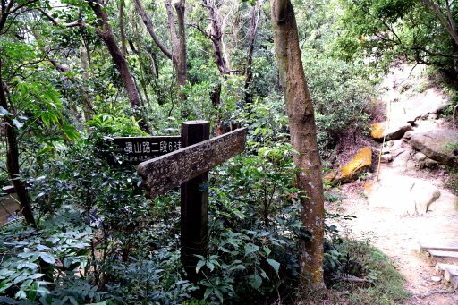 大崙尾山,金面山(剪刀石山),新坡尾山,碧湖山登山行