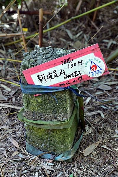 大崙尾山,金面山(剪刀石山),新坡尾山,碧湖山登山行