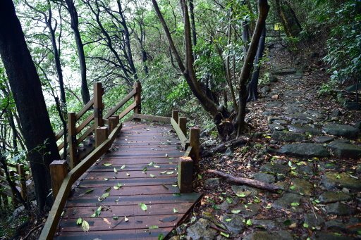 魚路古道日人路 (26).JPG