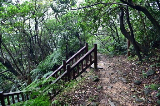 魚路古道日人路 (32).JPG