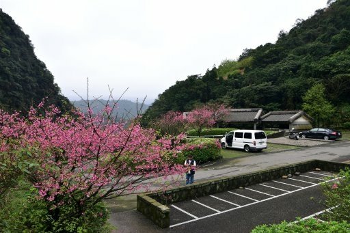 魚路古道日人路 (42).JPG