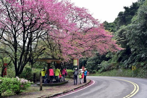 魚路古道日人路 (44).JPG