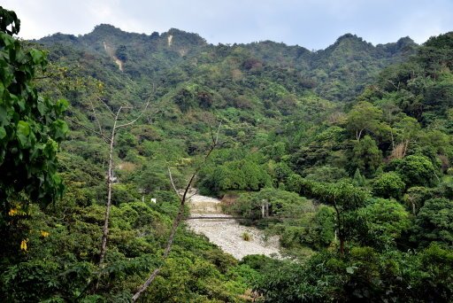 【台中市北屯區】挑戰體力及膽識的台版萬里長城-大坑四號登山步