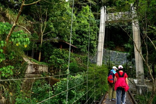 【台中市北屯區】挑戰體力及膽識的台版萬里長城-大坑四號登山步