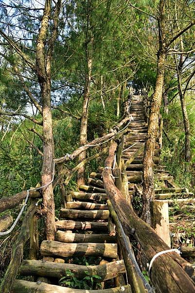 【台中市北屯區】挑戰體力及膽識的台版萬里長城-大坑四號登山步