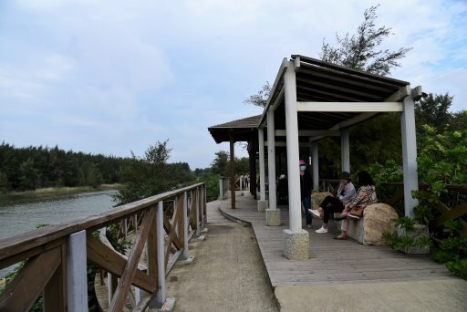 【桃園市新屋區】永安海螺文化體驗園區,永安漁港觀光漁市海鮮餐