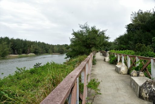 【桃園市新屋區】永安海螺文化體驗園區,永安漁港觀光漁市海鮮餐