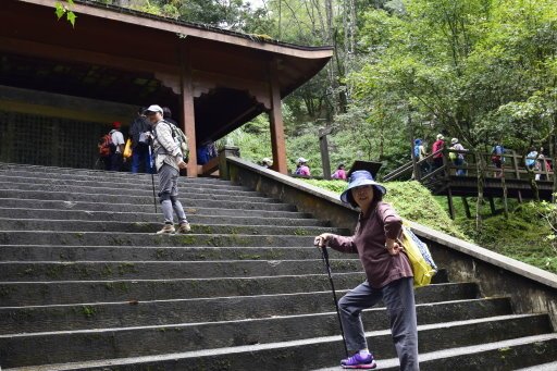 【嘉義縣阿里山鄉】阿里山國家森林遊樂區(彰化,嘉義三日遊之4